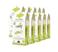 TERRAMOKA - 2,5 KG Café Moulu Bio d’excellence (10 * 250g) - 80% Pur Arabica du Mexique et Brésil & 20% Robusta de Tanzanie - Savoureux et Persistant - 100% Recyclable - Arthur - Torréfié en France