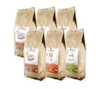 TERRAMOKA - 6 KG Café Bio d’excellence (6 * 1kg) - Café 100% Arabica du Brésil, Mexique et Pérou et de Tanzanie - Sachet 100% Recyclable - Adèle, Arthur et Albert - Torréfié en France