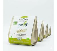 TERRAMOKA - 80 Dosettes Compatible avec Senseo Café Bio d’excellence (5 * 16) - 80% Pur Arabica du Brésil et du Mexique - Riche et Savoureux - Home Compost - Arthur - Torréfié en France