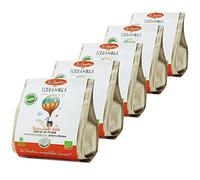 TERRAMOKA - 80 Dosettes Compatibles avec Senseo Café Bio d’excellence (5*16) - 100% Pur Arabica du Brésil et Mexique - Délicat, fin et fruit - Sachet 100% Recyclable - Melle Adèle - Torréfié en France