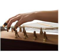 Terrapin Trading Lot de 3 médiators Vietnamiens Dan Tranh Instrument - Design Traditionnel Réglable - Médiators en Plastique Ethique