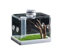 TerrariaPro Jumping Spider Enclosure, Transparent Acrylic, Habitat Tank