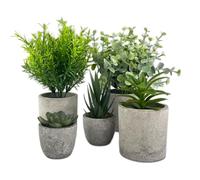 TERRARIDE 5 Pieces Plantes Artificielle, Mini Plantes artificielles Interieur Serpentine, Agave succulentes, Eucalyptus globulus, Griffe d'aigle Aloe Vera, pour Chambre Bureau Decoration