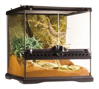 Terrarium en Verre - Mini - Mini/Large