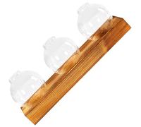 Terrarium à Plantes de Table en Verre avec Support Bois, Hydroponie | Station de Propagation pour Plante, Décor de Maison et Chambre, Style Élégant, Vase pour Bouturage