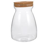 Terrarium à Plantes en Verre et Bois, Conteneur D'écosystème Taille L