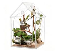 Terrarium araignée, habitat en acrylique anti-fuite, 25 x 20 cm, point culminant transparent, SPU, enclos d'araignée sauteuse avec ventilation, affichage intérieur pour la famille et les amis, taille