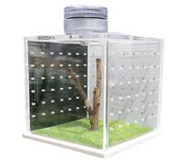 Terrarium araignée sautant avec lumières - Enclos en acrylique pour petits ermites, crabes, escargots et tarentules