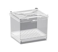 Terrarium araignée sauteuse - Boîte d'alimentation - Habitat ventilé pour projets scientifiques Affichage éducatif Maison Appartement Salon Voyage Camping