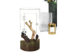 Terrarium araignées, habitat d'araignées, terrarium en acrylique pour reptiles arboréaux, étanche, avec porte pour tarantula, araignées, prières et mantis