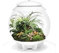 Terrarium automatisé 30l blanc Oase Air30white G