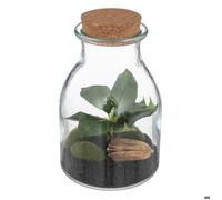 Terrarium ""Bota"" verre H19,5cm - Atmosphera createur d'interieur