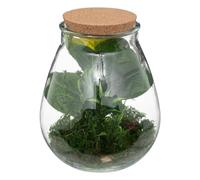 Terrarium bota Verre h29,5 cm - Atmosphera créateur d'intérieur