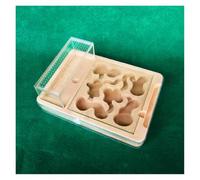 Terrarium château de Fourmis, Fourmilière Anti-évasion en polypropylène Transparent et Noyau en pâte 23,5 x 17 x 3,7 cm (9,2 x 6,6 x 1,4 Pouces)