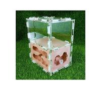 Terrarium château de Fourmis, Fourmilière Château Habitat Kit d'apprentissage Scientifique Gypse Acrylique Multicolore 10,7 x 7,6 x 12,5 cm(Red)