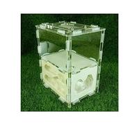 Terrarium château de Fourmis, Fourmilière Château Habitat Kit d'apprentissage Scientifique Gypse Acrylique Multicolore 10,7 x 7,6 x 12,5 cm(White)