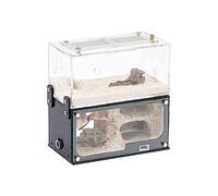 Terrarium château de Fourmis, Fourmilière en béton, nid Transparent en Acrylique, château avec château d'eau, kit d'apprentissage Scientifique 15 x 15 x 8 cm