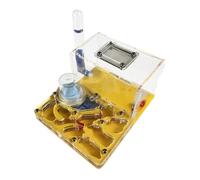 Terrarium château de Fourmis, Kit d'observation Scientifique en Acrylique avec Zone de visualisation Multicolore (15 x 12 x 7,5 cm)(Yellow)