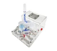 Terrarium château de Fourmis, Kit d'observation Scientifique en Acrylique avec Zone de visualisation Multicolore (15 x 12 x 7,5 cm)(White)
