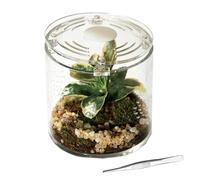 Terrarium d'araignée - 10 x 10 cm - Petite ventilation en acrylique - Cage d'araignée pour reptiles - Pour tarantes, crabes d'établissement, escargots, grenouilles