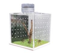 Terrarium d'araignée sauteuse - Cage transparente - Habitat pour les orateurs de Dieu - Mangeoire à escargots avec humidificateur léger pour araignées et autres invertébrés
