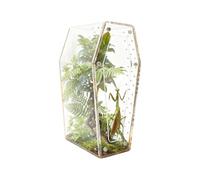 Terrarium D'araignée Sauteuse - Habitat D'araignée en Acrylique Transparent - Enclos De Mante Religieuse - pour Les Gardiens des Amoureux De La Nature, Éducateurs, Amateurs, Les Étudiants, L