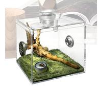 Terrarium d'araignée - Terrarium d'élevage en verre acrylique - Terrarium pour escargots, répulsifs, lézards, petits animaux, orcheuses de Dieu ainsi que pour une utilisation à la maison en intérieur