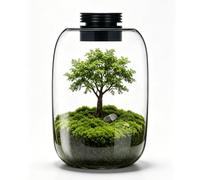 Terrarium de bureau en verre avec lumière de croissance pour plantes carnivores, pièges à mouches Vénus, plantes grasses, mousse, mini paysages, aquarium Betta, minuterie marche/arrêt automatique
