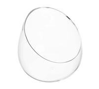 Terrarium de Bureau en Verre Borosilicate à Ouverture Large | Bocal Transparent à Coupe Inclinée, Vue Claire et Bords Polis, pour Mini Figurines et Basilic Frais