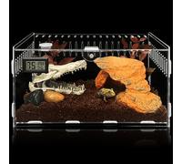 Terrarium de Reptiles, Terrarium Acrylique, Terrarium À Escargots, 30*20*15cm Boite Escargot, Ensemble De Récipient En Acrylique D'insecte Pour Reptiles, Escargots, Tortues D'eau, Araignées, Bernards