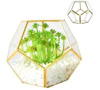 Terrarium de végétal en Verre, 7.1x7.1x5.5 '' Soudage Pentagone Terrarium en Verre avec Porte, Terrarium fermé géométrique pour Les Plantes succulentes en Laiton