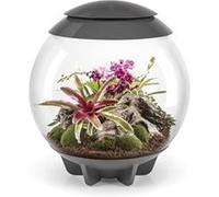 Terrarium décoratif 60l avec cadre gris Oase Air 60 grey G