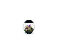 biOrb Terrarium décoratif Air 60 – 60 l – Cadre noir