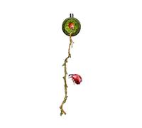 Terrarium Des Araignées De Printemps | Grotte Magnétique Avec Pont De Corde | Habitat | Decoration Shelter 5cm Balle Et 40 Cm De Longueur Pour Gecko, Grenouilles, Lézards, Coléoptères, Grillades Et Re