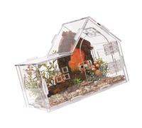 Terrarium d'observation pour reptiles avec fermetures ventilées pour un usage quotidien, voyage, élevage, araignées sautantes