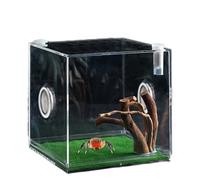 Terrarium du Reptile en Verre - Enceinte D'araignée Sautée | Tanteur D'habitat Reptile | Terrarium Croissance Claire avec Couvercle Supérieur en Maille | Conteneur pour Animaux De Compagnie Poly