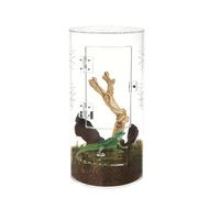 Terrarium Du Reptile en Verre - Mini Réservoir De Reptiles De Croissance | Boîte D'alimentation en Acrylique, Acrylique Habitat Terrarium À Insecte Transparent, 20 × 12 × 12 Cm Pour Les Mantes Prières