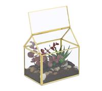 Terrarium Ecosysteme Terrarium interieur decoration Terrarium deco