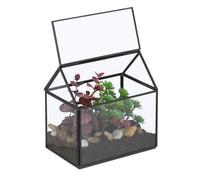 Terrarium Ecosysteme Terrarium interieur decoration Terrarium deco