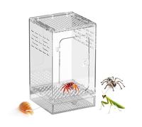 Terrarium en Acrylique pour araignées et Reptiles, enclos Transparent pour araignées sauteuses, abri d'alimentation Stable pour mantes, Garde et Observation en Toute sécurité des Petits Animaux