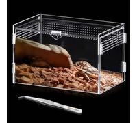 Terrarium en acrylique pour terrarium escargot : 20 x 12 x 12 cm, mini terrarium transparent, boîte d'alimentation pour reptiles, terrarium, récipient pour grenouilles, lézards, serpents