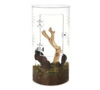 Terrarium en acrylique Spider - Habitat pour animaux de compagnie - Cage de fermeture étanche - Boîte ventilée à ouverture frontale pour Tarantulas, Mantis, Hermit Crabs, petites créatures, réservoir