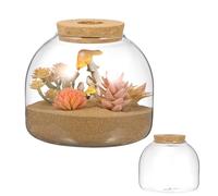 Terrarium en Bocal de Verre pour Plantes Hydroponiques, Décoratif | Verre et Bois, pour Chambre et Loisirs Créatifs, Contenant Rond, Style Écosystème