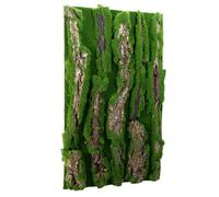 Terrarium en écorce de - Décoration de l'habitat des reptiles, fond texturé | Contexte de reptiles naturalistes avec mousse artificielle pour gecko, lézard, grenouille, caméléon, être