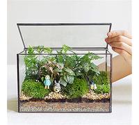 Terrarium en Verre avec Couvercle pour Plantes géométriques - Conteneurs de Terrarium pour Mousse et Plantes d'intérieur - Dessus de Table rectangulaire - Noir - 21 x 12 x 14 cm (L x l x H)