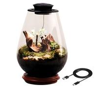 Terrarium en verre avec lampe de croissance LED UFO, mini écosystème de bureau pour mousse, lumière noire 5 V/2 A, pour décoration de bureau et de maison, comprend un flacon d'égouttement et un câble