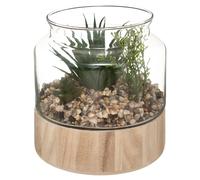 Atmosphera – Plante artificielle en terrarium, pot verre H17,5 cm