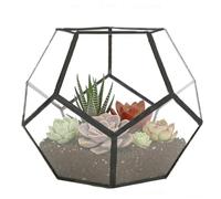 Terrarium en Verre Géométrique Dodécaèdre, Cadre Noir Verre Transparent | Pot de Fleurs pour Succulentes et Cactus,Décoration de Table pour Intérieur, Maison Bureau(Plantes et Accessoires Non Inclus)