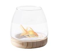 Terrarium en verre pour hydroponiques - Vase à poisson transparent avec support en bois naturel, bol décoratif en verre pour maison ou bureau | vase à grande bouche pour fleurs, mini serre de