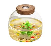 Terrarium en Verre pour Plantes, 1600 ML de Terrarium végétal avec Couvercle de liège, Grand Pot d'ouverture pour Mini Succulent dans Le Paysage, affichages Floraux, Collections d'artisanat et etc.